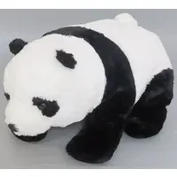 Plush - Panda