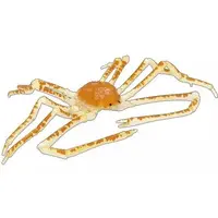 Trading Figure - Playable Creatures Figure Series