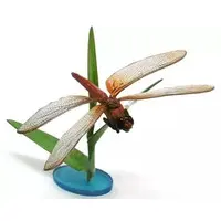 Trading Figure - Primary Color Japanese Insect Encyclopedia