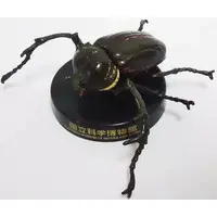 Trading Figure - National Museum of Nature and Science,Tokyo