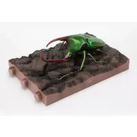 Trading Figure - Ikimono Daizukan