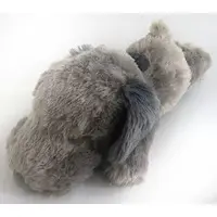 Plush - PEANUTS / Snoopy