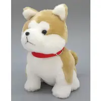 Plush - Dog