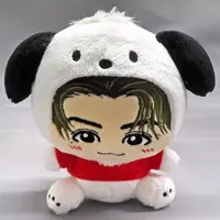 Plush - Sanrio / Pochacco