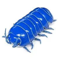 Trading Figure - Ikimono Daizukan