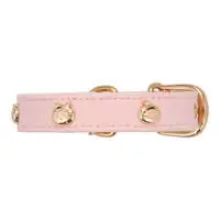 Pet Supplies - Chiikawa / Chiikawa & Usagi & Hachiware