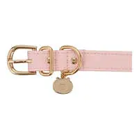 Pet Supplies - Chiikawa / Chiikawa & Usagi & Hachiware