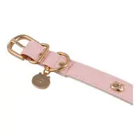 Pet Supplies - Chiikawa / Chiikawa & Usagi & Hachiware