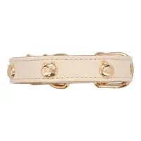 Pet Supplies - Chiikawa / Chiikawa & Usagi & Hachiware