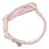 Pet Supplies - Chiikawa / Chiikawa & Usagi & Hachiware