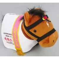 Plush - Thoroughbred collection