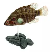 Trading Figure - Freshwater Fishes