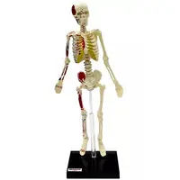 Trading Figure - Primary Color Encyclopedia Series