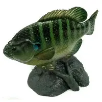 Trading Figure - Freshwater Fishes