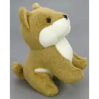 Plush - Dog