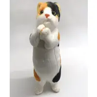 Plush - Cat