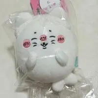 Nagano Aquarium - Nagano's Characters / Azarashi