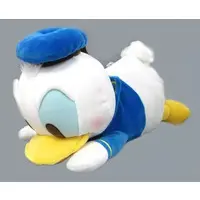 Plush - Disney / Donald Duck