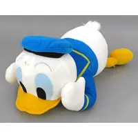 Plush - Disney / Donald Duck
