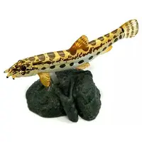 Trading Figure - Freshwater Fishes