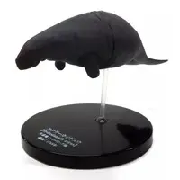 Trading Figure - Mysterious Biological Encyclopedia