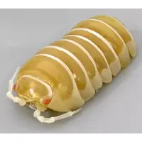 Trading Figure - Ikimono Daizukan