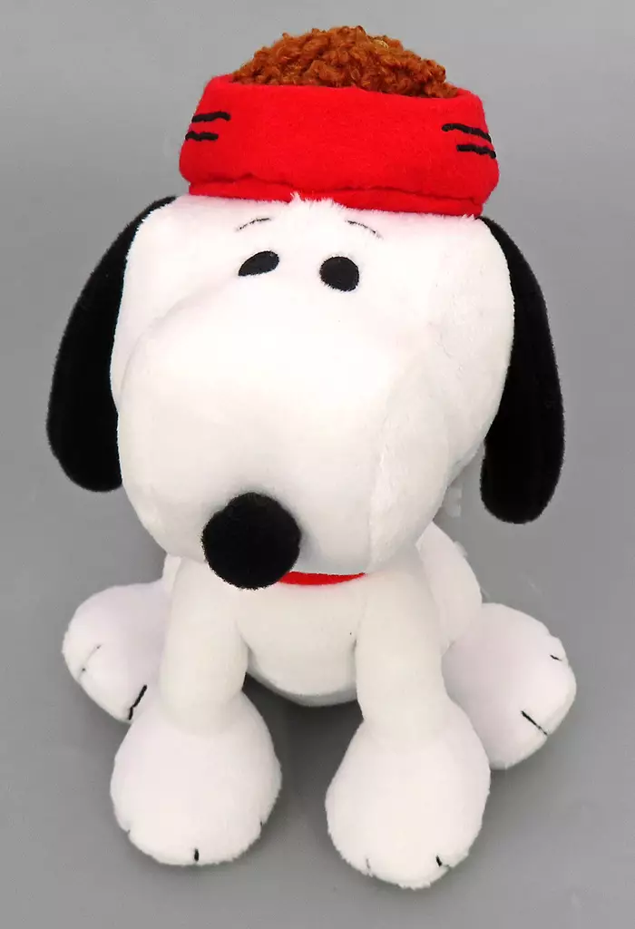 Plush - PEANUTS / Snoopy