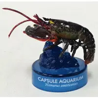 Trading Figure - Capsule Aquarium