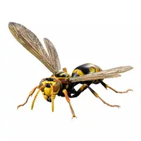 Trading Figure - Ikimono Daizukan