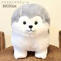 Alaskan Malamute BIG Plush