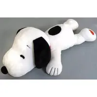 Plush - PEANUTS / Snoopy
