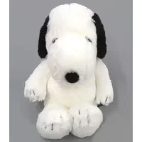 Plush - PEANUTS / Snoopy