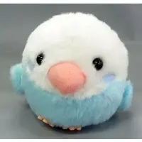 Plush - Kotori Tai