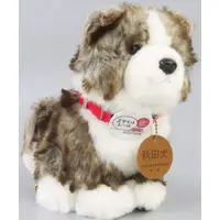 Plush - Dog