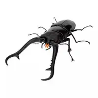 Trading Figure - Ikimono Daizukan