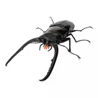 Trading Figure - Ikimono Daizukan