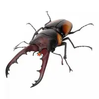 Trading Figure - Ikimono Daizukan