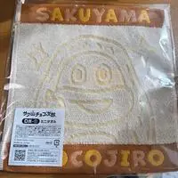 Towels - Handkerchief - Sakuyamachocojiro