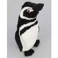 Plush - Penguin / Magellanic penguin