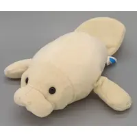 Plush - Okinawa Churaumi Aquarium