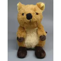 Plush - Quokka