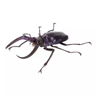 Trading Figure - Ikimono Daizukan