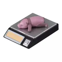 Trading Figure - Machibouke