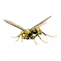 Trading Figure - Ikimono Daizukan