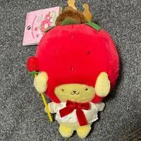 Plush - Sanrio / Pom Pom Purin