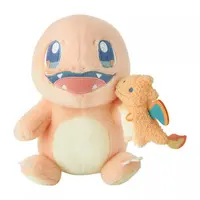 Plush - Pokémon / Charizard & Charmander