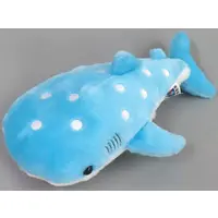 Plush - Whale shark