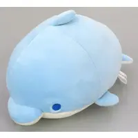 Plush - Dolphin
