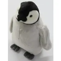 Plush - Penguin