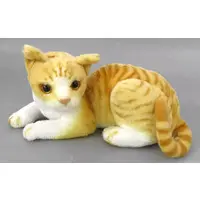 Plush - Cat